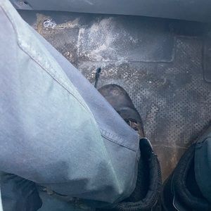 Meet your Posher, Quincy